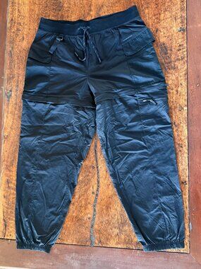 Lululemon Athletica Convertible Hiking Pants/Shorts 14